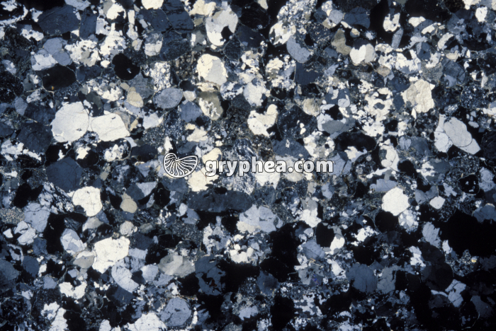 Grès à grains ronds LPA x2 - gryphea.com